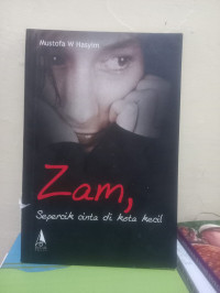 Image of Zam, sepercik cinta di kota kecil